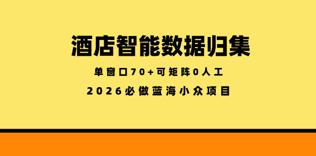 酒店智能数据归集,小众蓝海已经稳定半年之久,单窗口70+零成本矩阵开干【揭秘】-好耶资源
