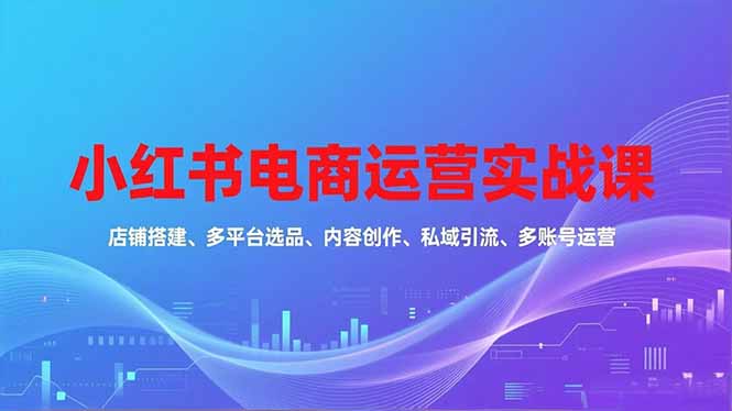 小红书电商运营实战课，店铺搭建、多平台选品、内容创作、私域引流、多账号运营等玩法-好耶资源