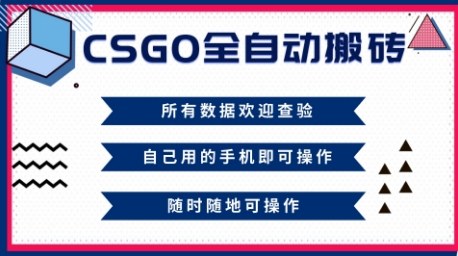 CSGO全自动搬砖，年底钱回家好项目，当天可拿到结果，新手小白轻松月入1W+【揭秘】-好耶资源