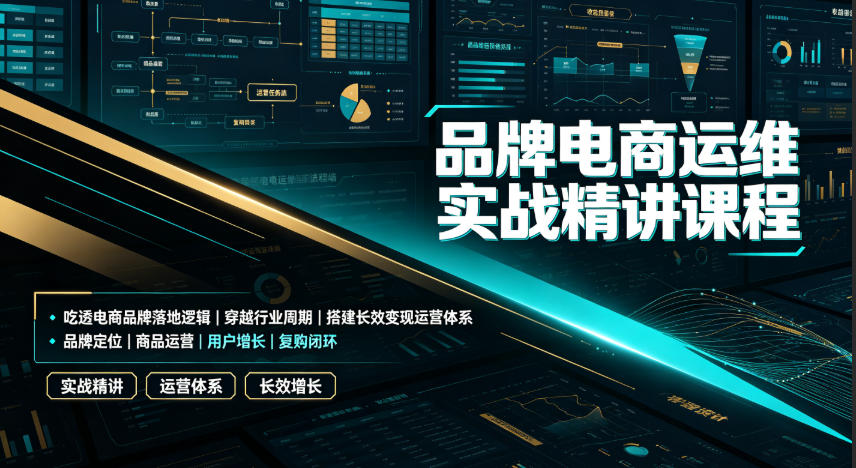 品牌电商运维实战精讲课程|吃透电商品牌落地逻辑、穿越行业周期、搭建长效变现运营体系-好耶资源