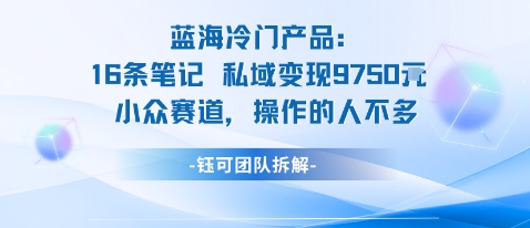 蓝海项目:16条笔记私域变现9750米小众赛道操作的人不多-好耶资源