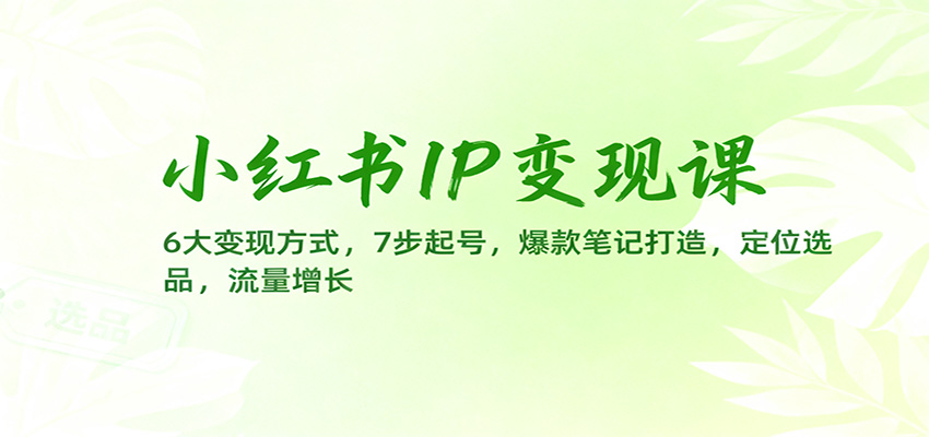 小红书IP变现课：6大变现方式，7步起号，爆款笔记打造，定位选品，流量增长-好耶资源