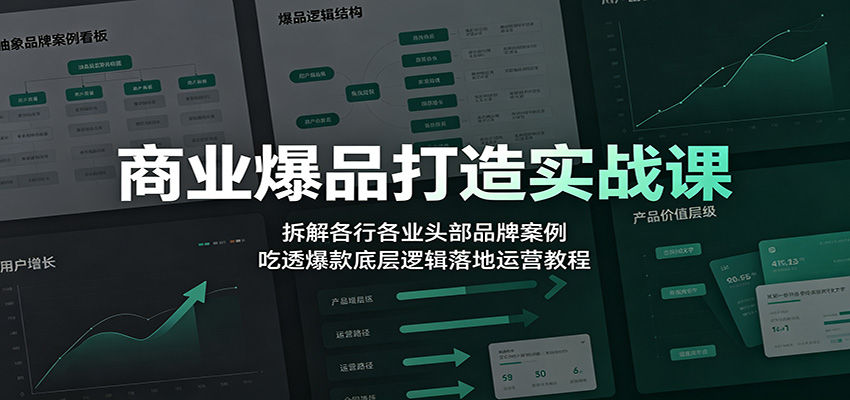 商业爆品打造实战课：拆解各行各业头部品牌案例，吃透爆款底层逻辑落地运营教程-好耶资源