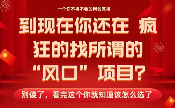 马上26年了，你还在找所谓的风口项目？别傻了，看完这个你全都懂了！【揭秘】-好耶资源