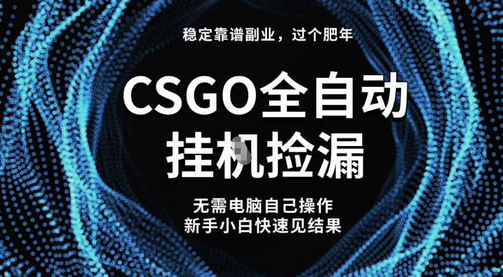 【稳定副业】全球最热门游戏CSGO全自动捡漏，最新玩法，新手小白日入5张+【揭秘】-好耶资源