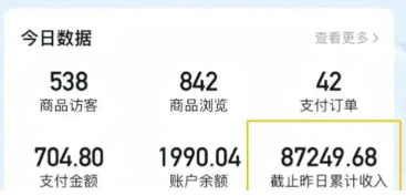 2026新手也能操作的带货玩法，用这个方法零门槛，轻松月入10000+-好耶资源