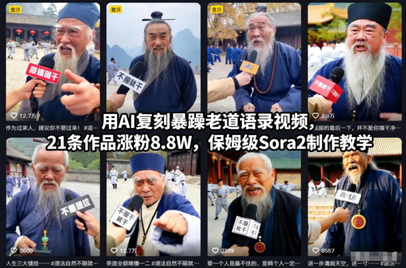 用AI复刻暴躁老道语录视频，21条作品涨粉8.8W，保姆级Sora2制作教学-好耶资源