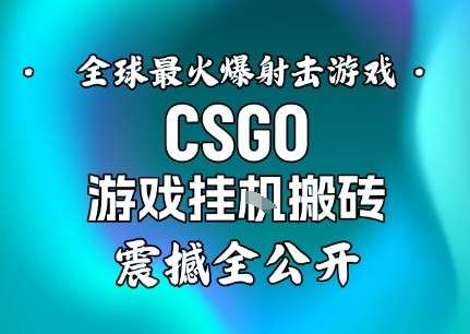 【年底大揭秘】基于全球最火爆的射击CSGO游戏挂G搬砖，日入5张+，震撼公开-好耶资源