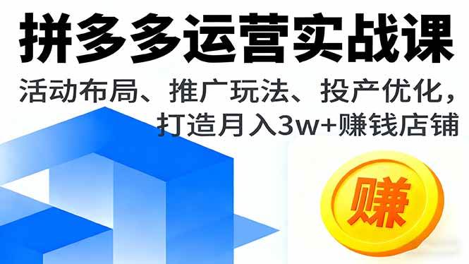 (16135期)拼多多运营实战课,活动布局、推广玩法、投产优化,打造月入3w+赚钱店铺-好耶资源