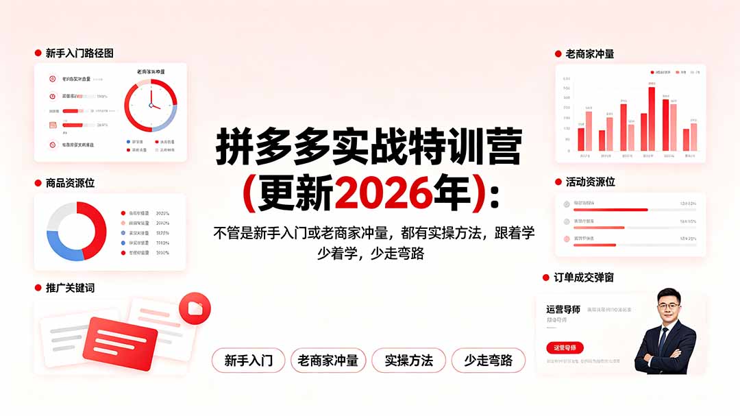 拼多多实战特训营(更新2026年-好耶资源
