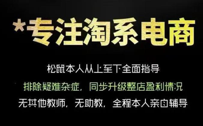 松鼠会电商VIP课程，从基础布局到高阶优化，助你掌握淘宝运营逻辑，提升店铺流量与转化（更新0815）