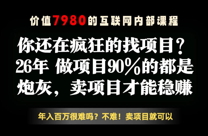 26年请不要疯狂的找项目了，卖项目远比你想象的暴利，你也可以月入10W+【揭秘】-好耶资源