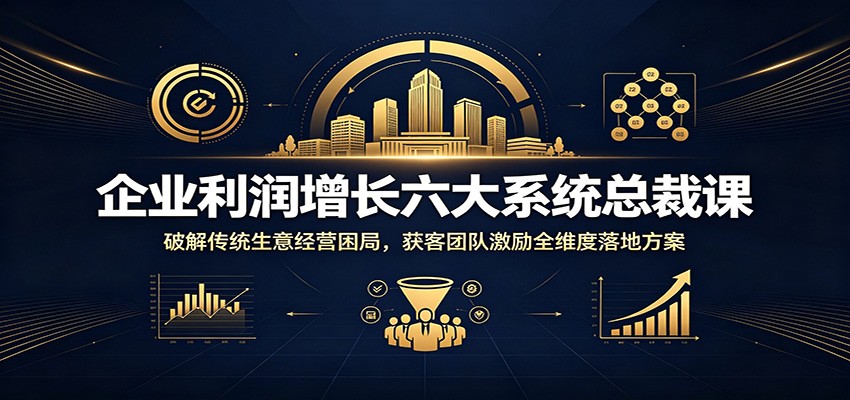 企业利润增长六大系统总裁课:破解传统生意经营困局,获客团队激励全维度落地方案-好耶资源