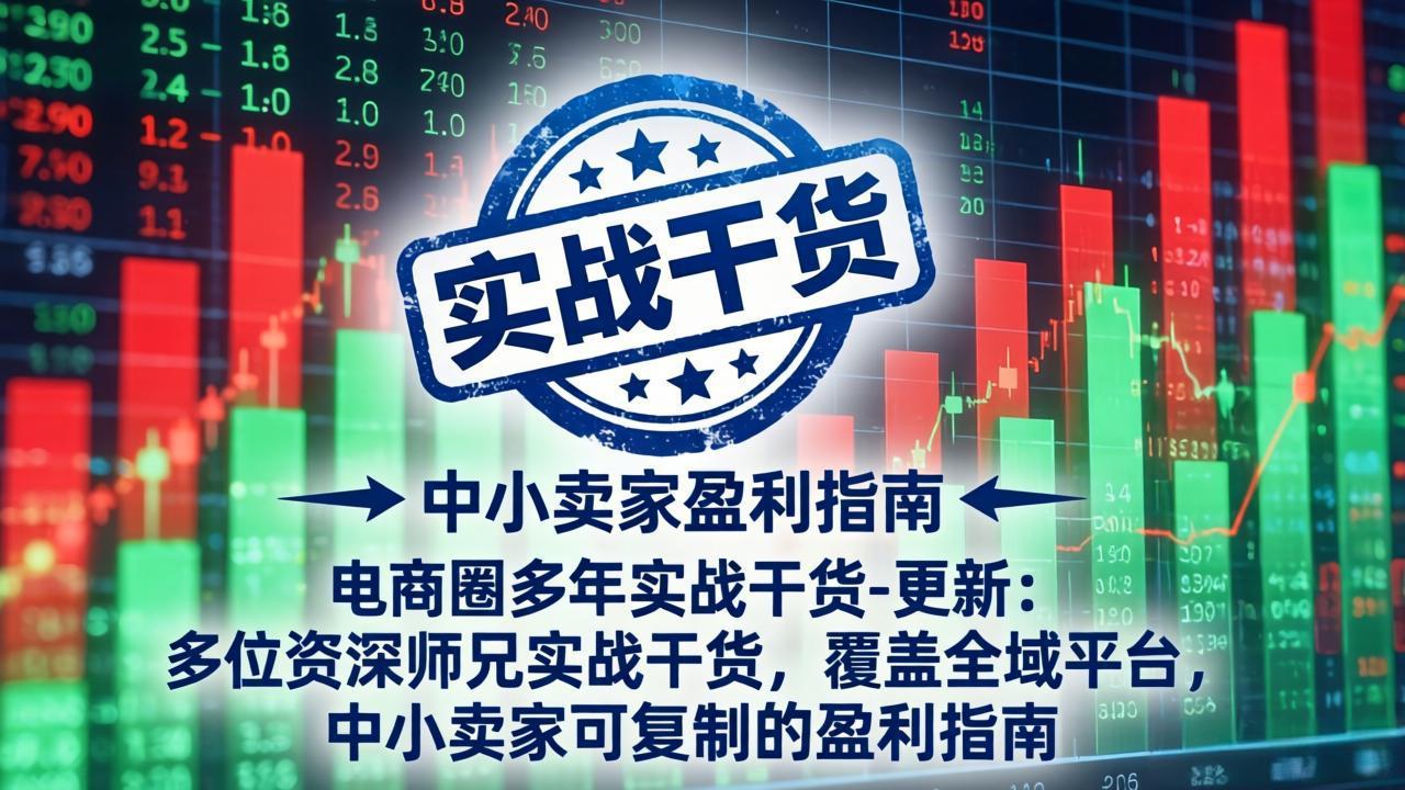 电商圈多年实战干货-更新5月20:多位资深师兄实战干货/覆盖全域平台,中小卖家可复制的盈利指南-好耶资源