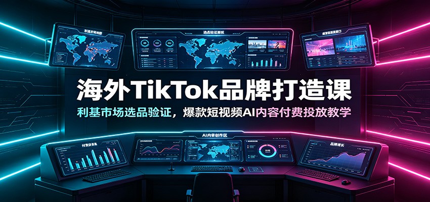 海外TikTok品牌打造课:利基市场选品验证,爆款短视频AI内容付费投放教学-好耶资源