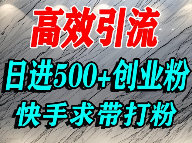 怎么打创业粉?快手求带视角精准引流创业粉,宝妈、学生群体日进500+精准流量-好耶资源