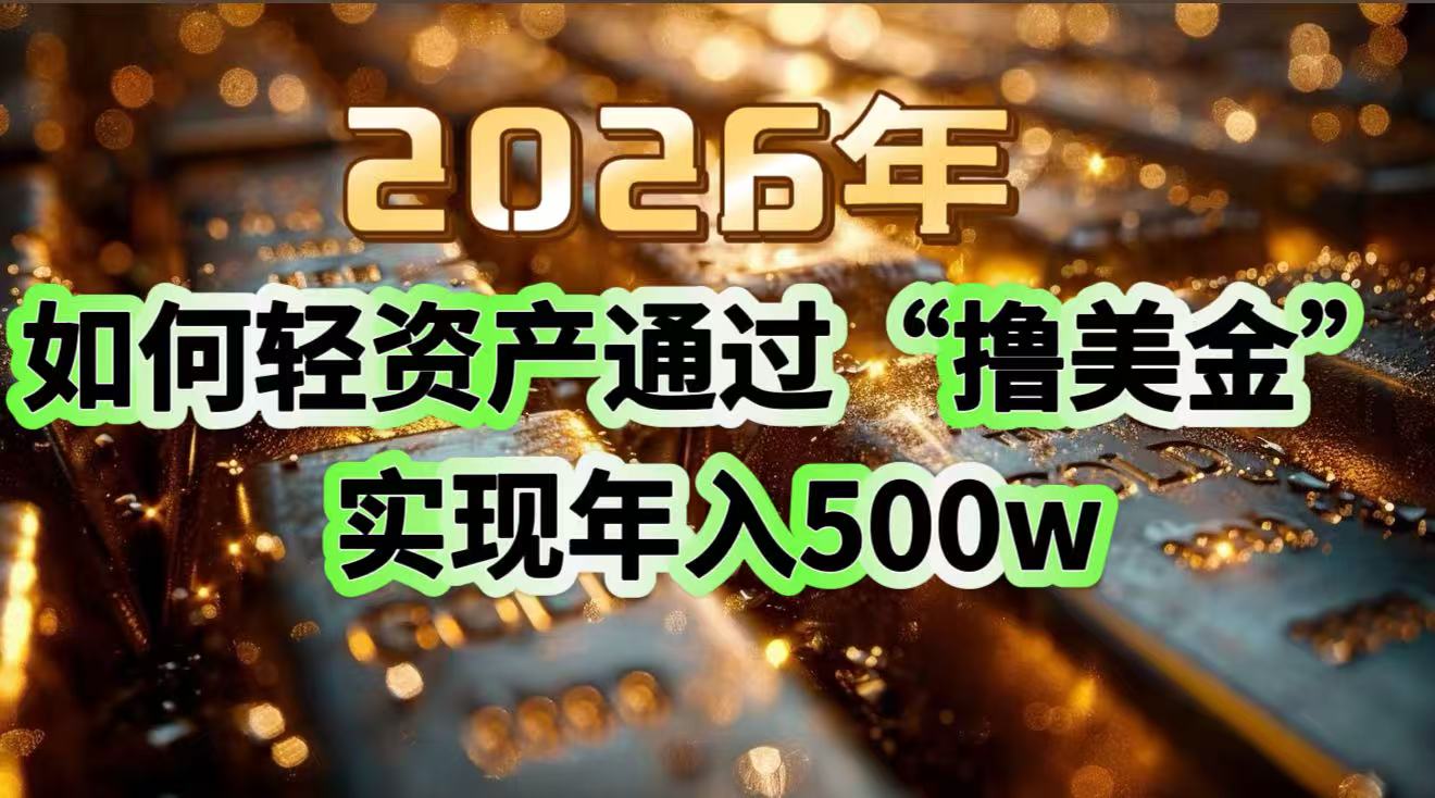 2026年如何轻资产通过“撸美金”实现年入500w-好耶资源
