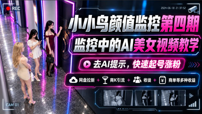 小小鸟颜值监控第四期，监控中的AI美女视频教学，去AI提示，快速起号涨粉，网盘拉新+商K引流+收徒+商单等多种收益-好耶资源