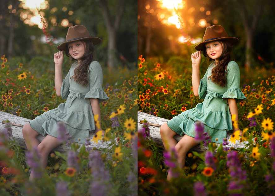 大师级GTG出品-老友记系列AI自适应预设The Friends Preset Collection-好耶资源