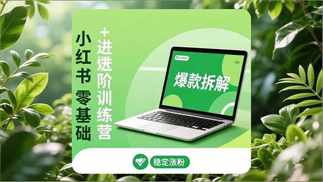 小红书零基础+高阶训练营：安全养号、爆款拆解、长效运营，实现稳定涨粉与变现-好耶资源