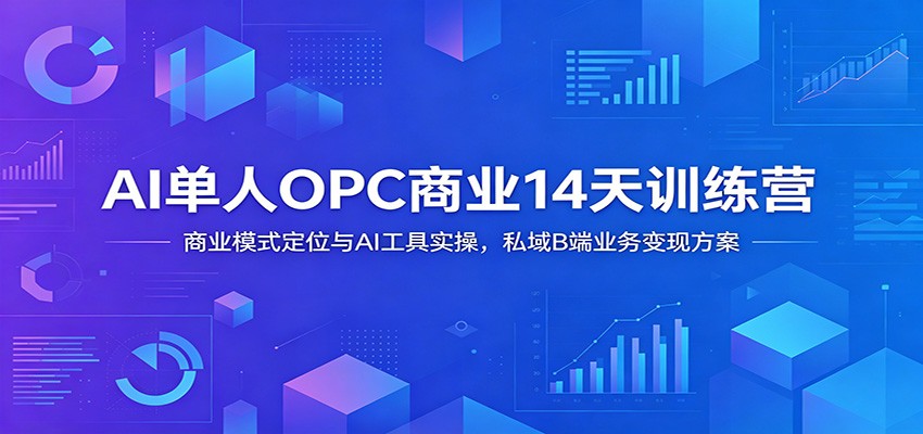 AI单人OPC商业14天训练营：商业模式定位与AI工具实操，私域B端业务变现方案-好耶资源