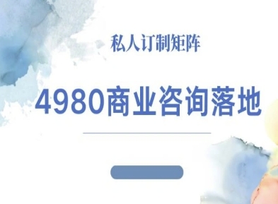 4980商业咨询师落地课程-ip运营高客单教程-好耶资源