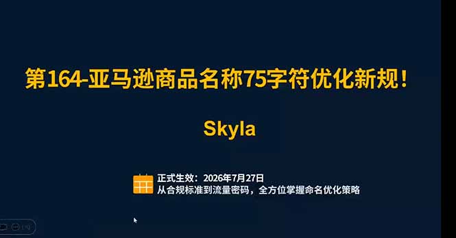 亚马逊跨境实战课：全品类选品逻辑｜SP/SB/SD广告精细化｜新品打爆旺季爆单全套运营教程-好耶资源