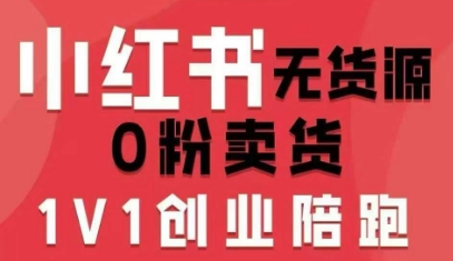 小红书无货源0粉电商课，开店准备、选品策略、笔记撰写、视频剪辑、数据分析、账号打造、资料文档(更新)-好耶资源