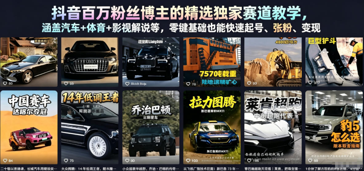 抖音百万粉丝博主的精选独家赛道教学，涵盖汽车+体育+影视解说等，零基础也能快速起号、涨粉、变现-好耶资源