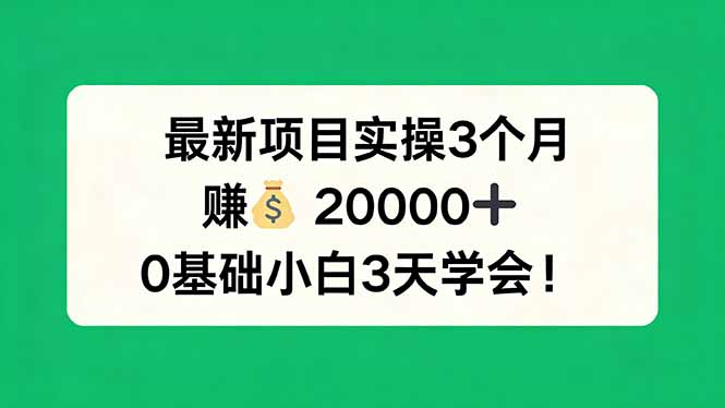 最新项目实操3个月，赚钱20000+，0基础小白3天学会！-好耶资源