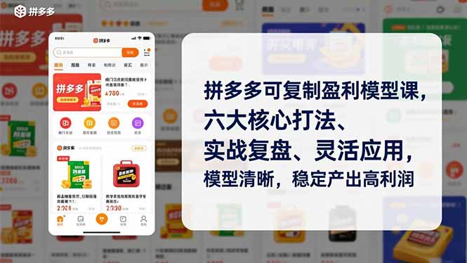 拼多多可复制盈利模型课，六大核心打法、实战复盘、灵活应用，模型清晰，稳定产出高利润-好耶资源