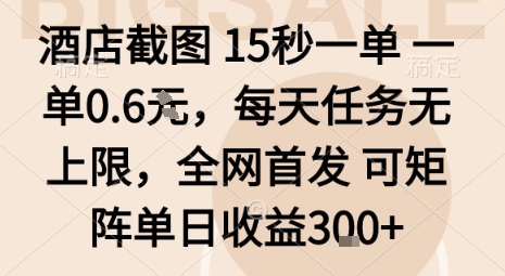 酒店截图15秒一单，一单0.6米，每天任务无上限，全网首发可矩阵单日收益3张【揭秘】-好耶资源