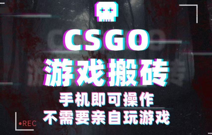 CSGO游戏挂机捡漏，单日扫货500+，年底小高峰上车可吃肉，手机即可操作兼职副业-好耶资源