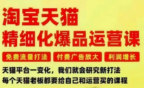 淘宝天猫精细化爆品运营课，免费流量打法-付费广告放大-利润增长-三大核心痛点，一次全部解决-好耶资源