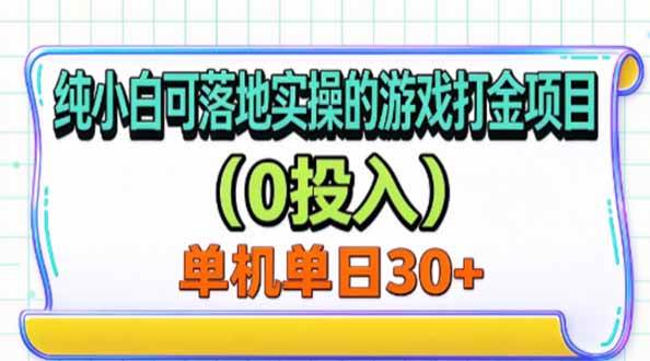 (20993期)纯小白可落地实操的游戏打金项目(0投入)单机单号30+-好耶资源