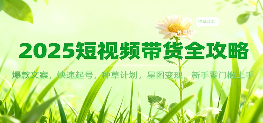 2025短视频带货全攻略：爆款文案，快速起号，种草计划，星图变现，新手零门槛上手-好耶资源