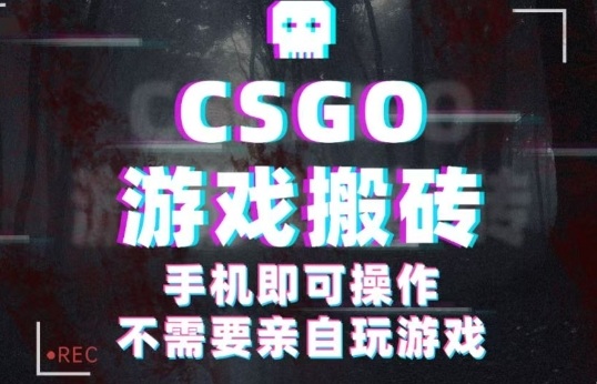 CSGO游戏挂G捡漏，单日扫货5张+，年底小高峰上车可吃肉，手机即可操作，兼职副业创业网创【揭秘】-好耶资源