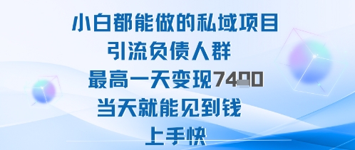 2025年小白都能做的私域项目引流负债人群最高一天变现1k+高变现难度低当天就能见到钱上手快-好耶资源